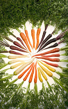 Carrots of Color